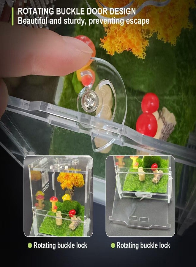 Julang Jumping Spider Enclosure, 4" X 4" X 4" Acrylic Spider Habitat, Front Opening Small Reptile Terrarium with Matrix Ventilation Holes & Feeding Holes, for Jumping Spider Snail Insect - Image 5
